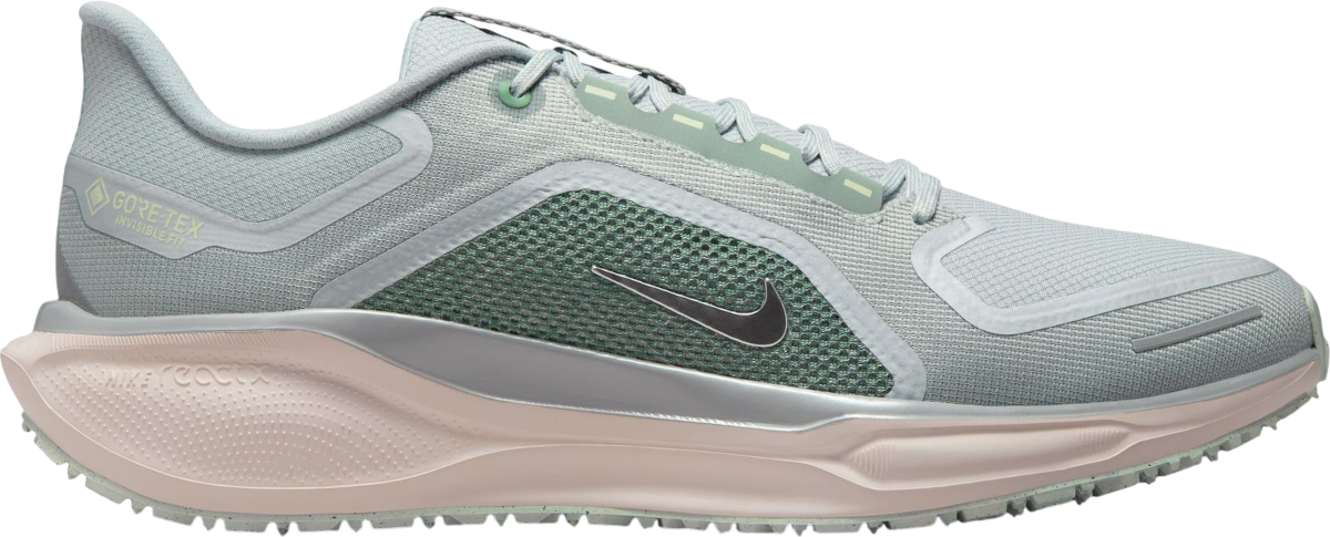 Кецове и обувки Nike Pegasus 41 GORE-TEX Многоцветен | fq1356-007, 0