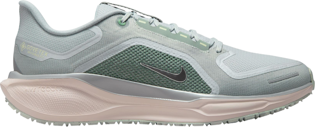 Pegasus 41 GORE-TEX