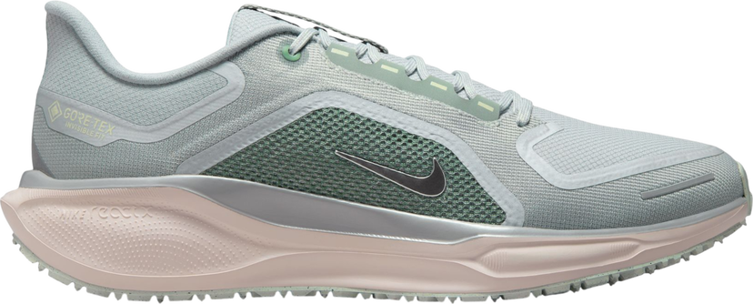 Кецове и обувки Nike Pegasus 41 GORE-TEX Многоцветен | fq1356-007