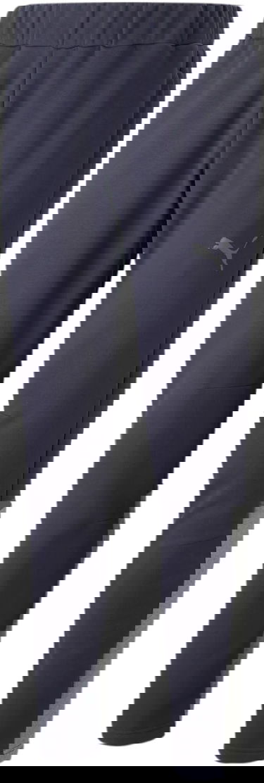 Спортни панталони Puma teamCUP Casuals Pants Тъмно синьо | 657988-006, 0