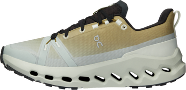 Кецове и обувки On Running Cloudsurfer Trail Waterproof Сиво | 3we10292065, 3