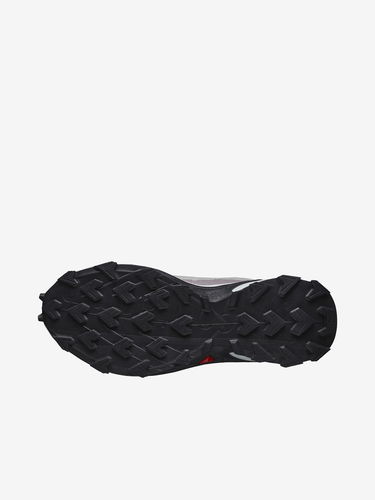 Кецове и обувки Salomon Alphacross 4 GTX Сиво | L41723200, 5