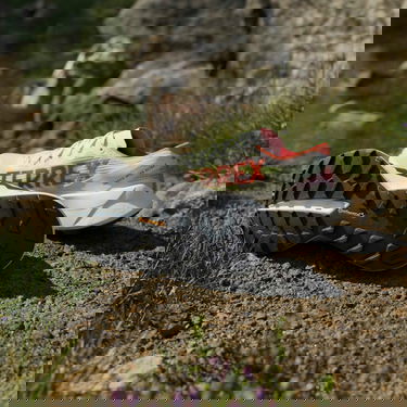 Кецове и обувки adidas Performance Terrex AGRAVIC SPEED ULTRA 2 Многоцветен | jr9110, 6