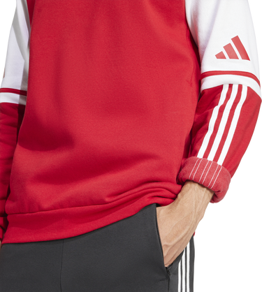 Суитчър adidas Originals SQ25 SW Hoodie Червено | jd2973, 1