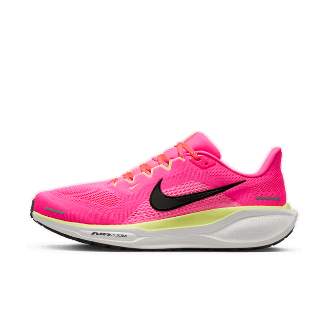Pegasus 41