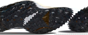 Кецове и обувки Nike Pegasus Trail 3 GTX Тюркоазено | dc8794-003, 1