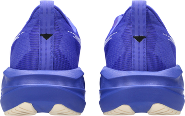 Кецове и обувки Asics NOVABLAST 5 Синьо | 1012b765-403, 1