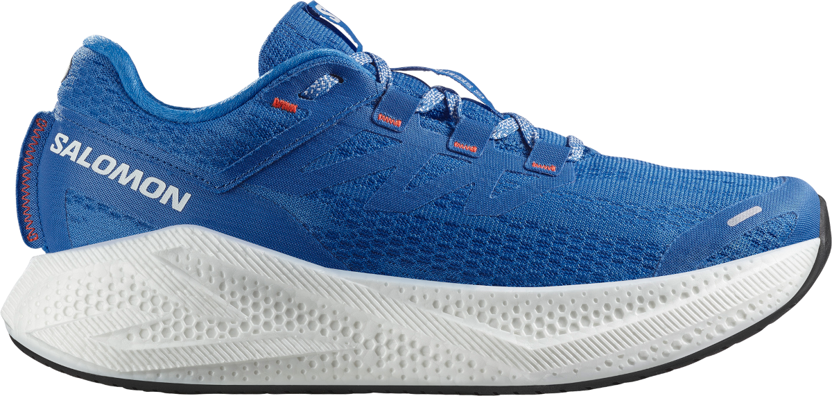Кецове и обувки Salomon Salomon Aero Glide 3 Синьо | l47810500, 0