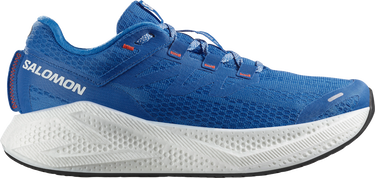 Кецове и обувки Salomon Salomon Aero Glide 3 Синьо | l47810500, 0