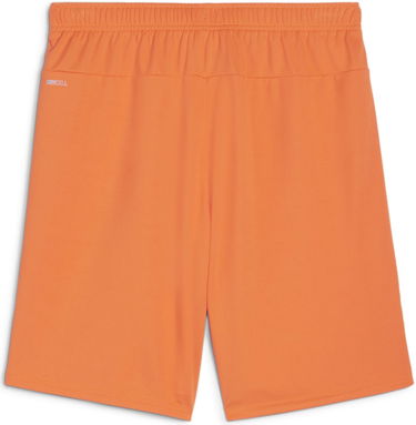 Къси панталони Puma teamGOAL Shorts Оранжево
 | 705752-08, 1