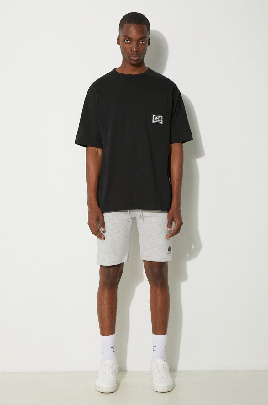 Къси панталони Alpha Industries Basic Shorts Сиво | 116363.17, 1