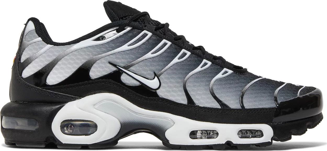 Кецове и обувки Nike Air Max Plus Black Silver White Сиво | DM0032-003, 1