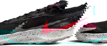 Кецове и обувки Nike Pegasus Trail 3 GTX Черно | dc8793-002, 0