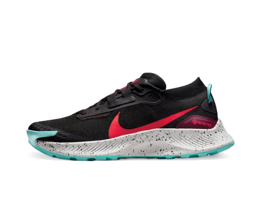 Бягане Nike Pegasus Trail 3 GTX Черно | dc8793-002