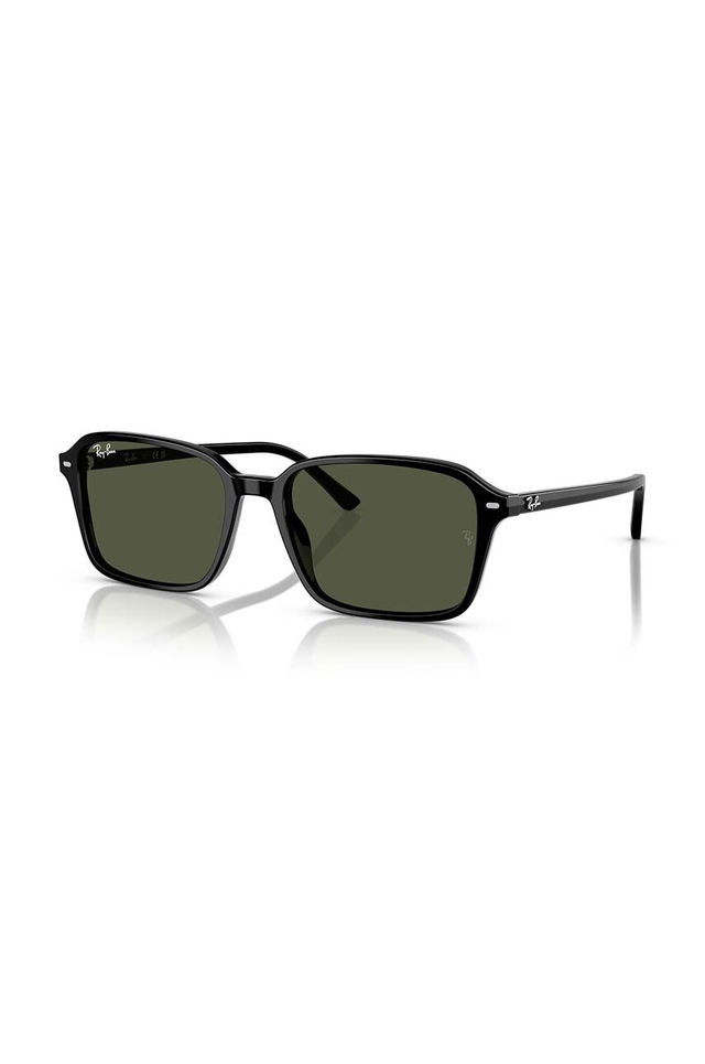 Ray-Ban 0RB2231 Sunglasses