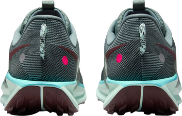 Кецове и обувки Nike Pegasus Trail 5 Многоцветен | dv3864-302, 1