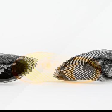 Кецове и обувки adidas Performance Slam Jam x F50 Sala "Croc Gum" Зелено | JR2201, 3