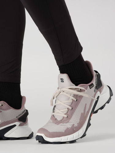 Кецове и обувки Salomon Alphacross 4 GTX Сиво | L41723200, 6
