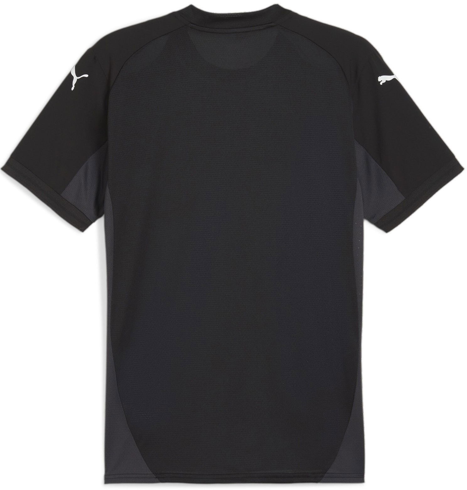 Фланелка Puma teamFINAL Jersey Черно | 705737-03, 1