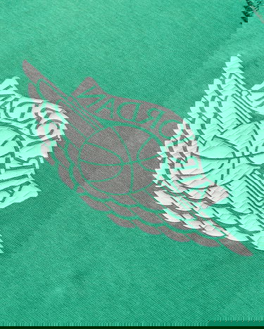 Тениска Jordan Rare Air T-Shirt Зелено | IB3130-324, 4