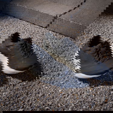 Кецове и обувки adidas Performance ADIZERO ADIOS 9 Черно | ih5751, 7