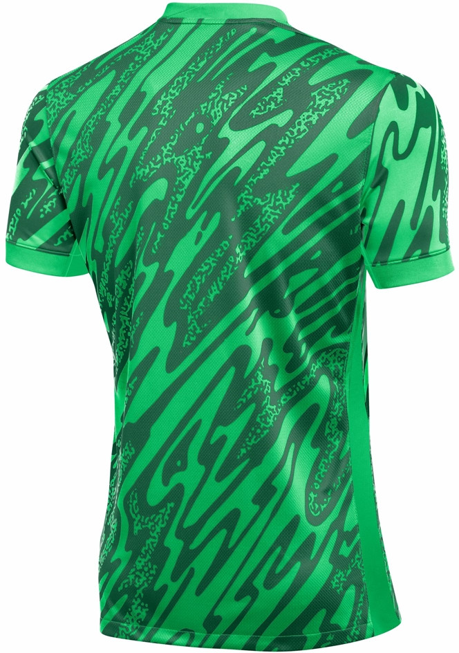 Фланелка Nike Nike Gardien V GK Soccer Jersey Зелено | fd7482-329, 1