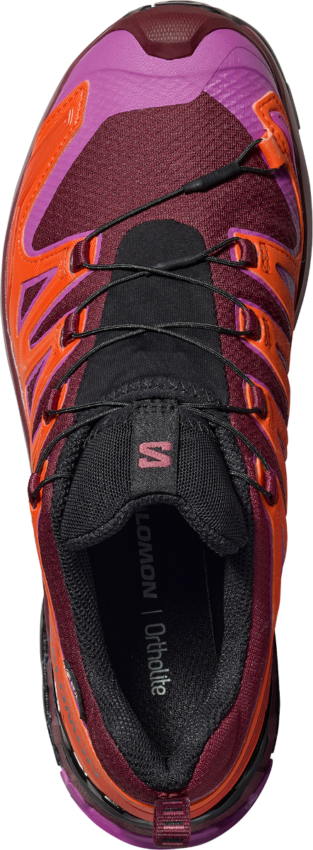 Кецове и обувки Salomon Salomon XA PRO 3D V9 GTX Лилаво | l47961900, 1