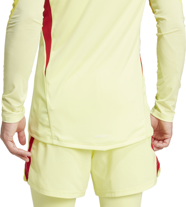 Фланелка adidas Originals T25 P GK Long Sleeve Jersey Жълто | jn2009, 1