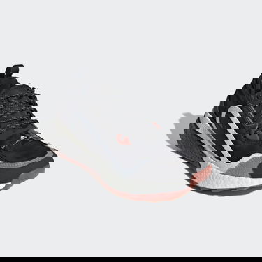 Кецове и обувки adidas Performance Stella McCartney x Outdoorboost 2.0 COLD.RDY Черно | H00084, 5