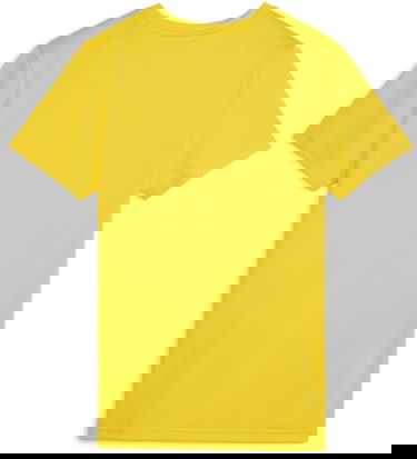 Фланелка Puma teamGOAL Jersey Жълто | 658638-07, 1