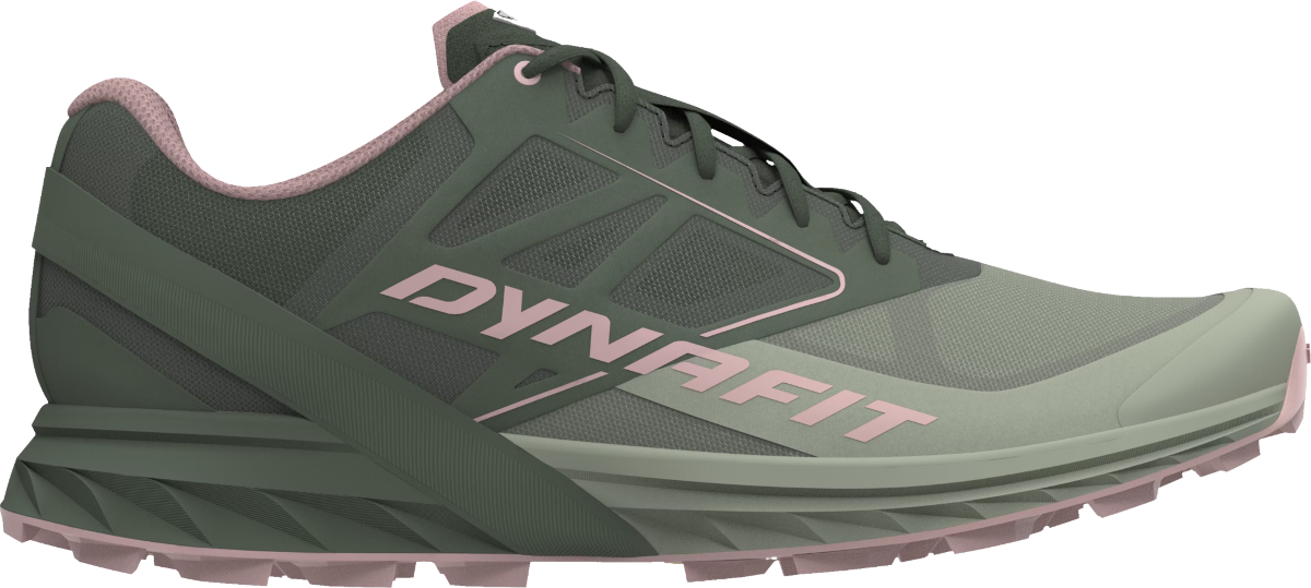 Кецове и обувки Dynafit ALPINE W Зелено | 08-0000064065-5654, 0