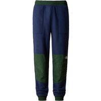 Спортни панталони The North Face Denali Pant Многоцветен | NF0A7UR5OBH, 0