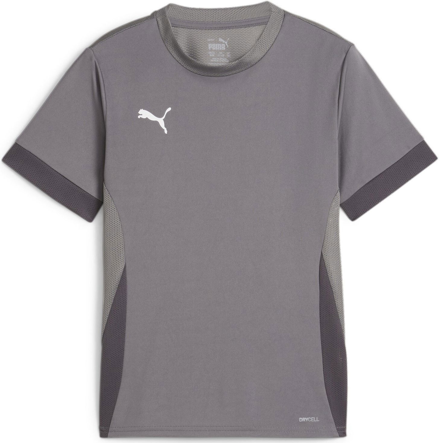 Фланелка Puma teamGOAL Matchday Jersey jr Сиво | 705748-13, 0