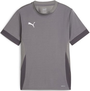 Фланелка Puma teamGOAL Matchday Jersey jr Сиво | 705748-13, 0