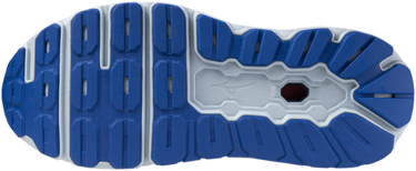 Кецове и обувки Mizuno WAVE HORIZON 7 Синьо | j1gc2426-51, 1
