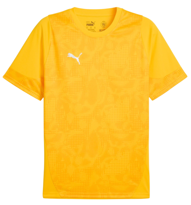 Puma teamCUP Jersey