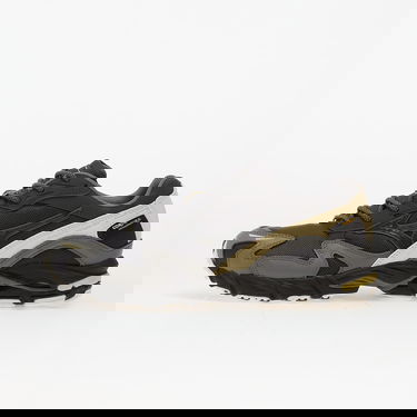 Кецове и обувки Mizuno Wave Rider 10 Cordura Сиво | D1GA256301, 0