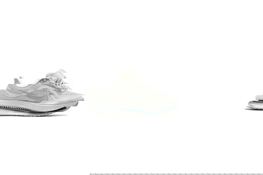 Кецове и обувки Nike Pegasus Premium Сиво | HQ2592-007, 1