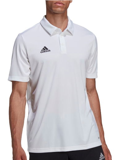 Поло тениска adidas Originals Entrada 22 Polo Бяло | hc5067