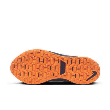 Кецове и обувки Nike InfinityRN 4 GORE-TEX Бежово | FB2204-002, 4