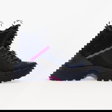 Кецове и обувки Nike ACG Air Gaiadome Gore-Tex Черно | DD2858-401, 1