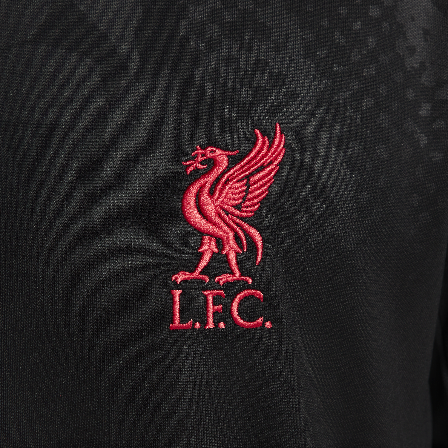 Фланелка Nike Dri-FIT Liverpool FC Academy Pro Third Черно | FQ2548-011, 1