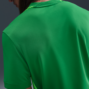 Фланелка Nike England 2025/26 Stadium Replica Dri-FIT Goalkeeper Jersey Зелено | IF3953-310, 2