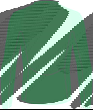 Тениска adidas Originals Adidas TF LS Tee Long Sleeve Зелено | iw8514, 2