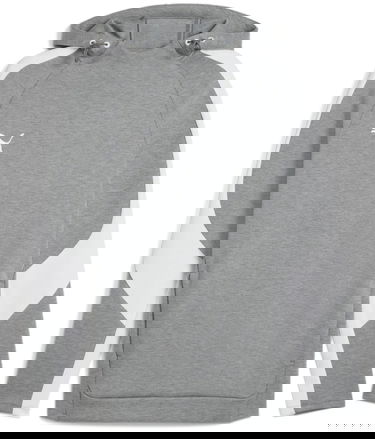 Суитчър Puma Puma teamEVOSTRIPE Hoodie Сиво | 659954-33, 0