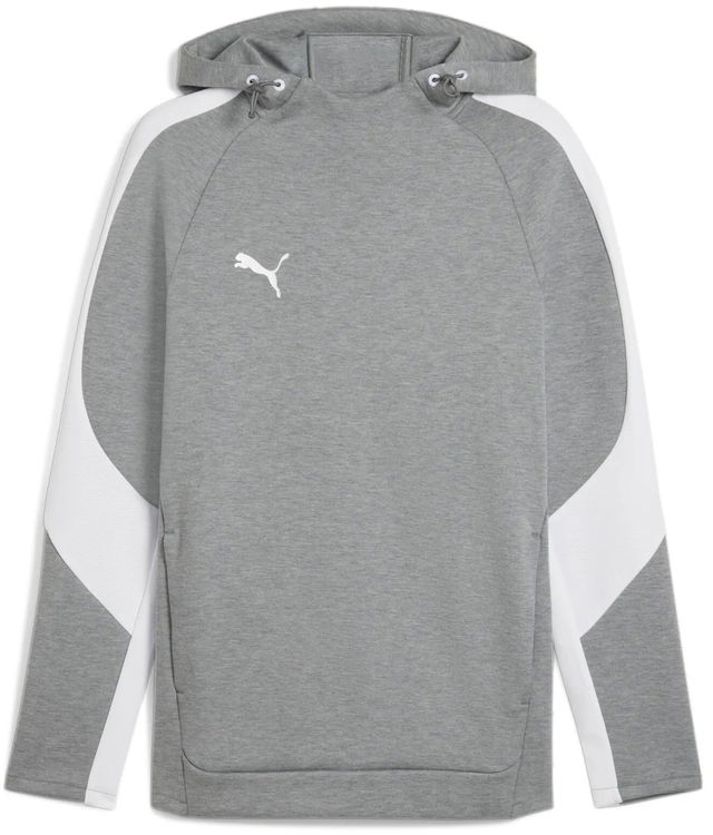 Puma teamEVOSTRIPE Hoodie
