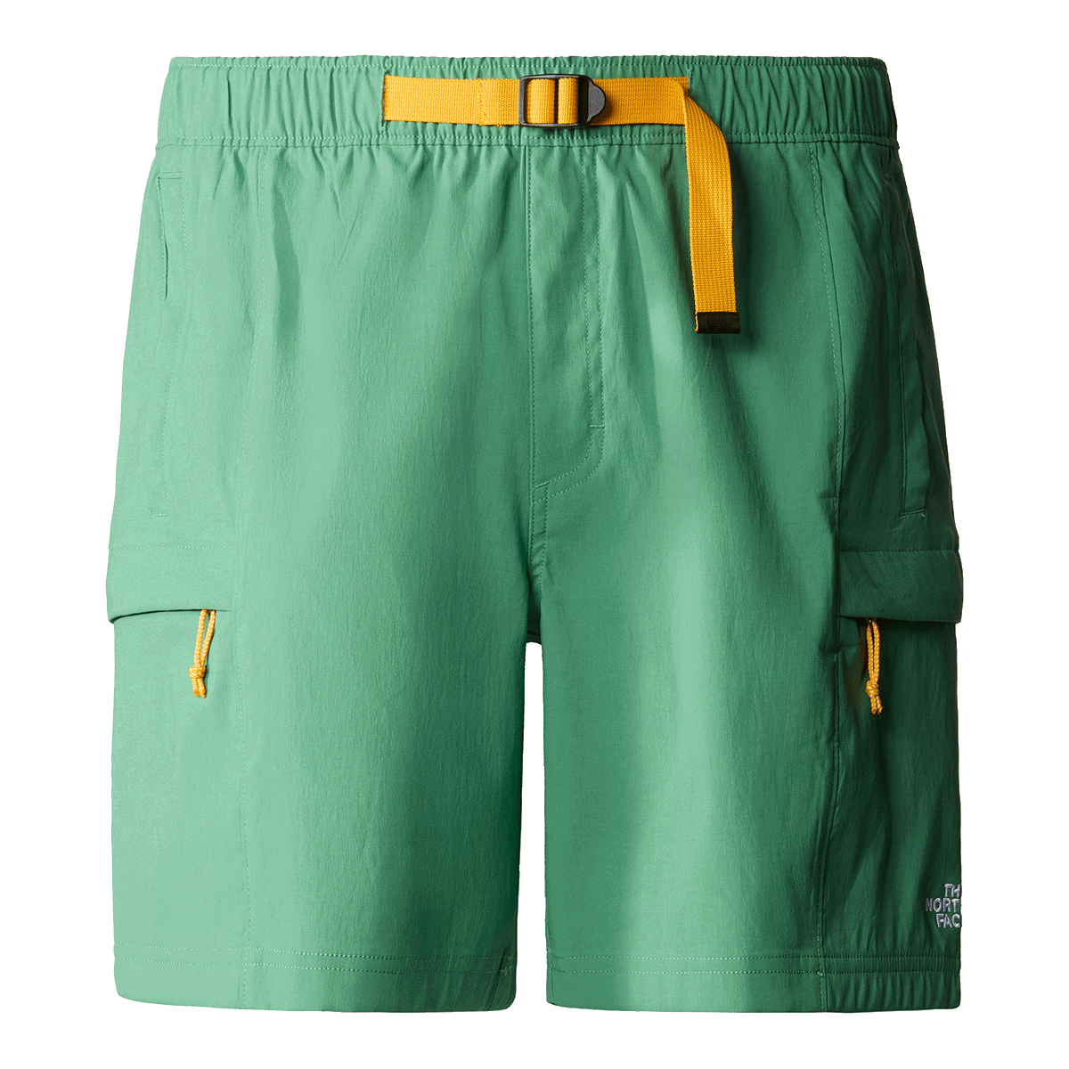 Къси панталони The North Face Class V Belted Cargo Short Зелено | NF0A55V8N111, 0