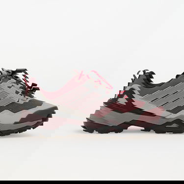 Кецове и обувки adidas Performance Terrex Skychaser GORE-TEX Hiking Shoes Лилаво | IH1100, 2