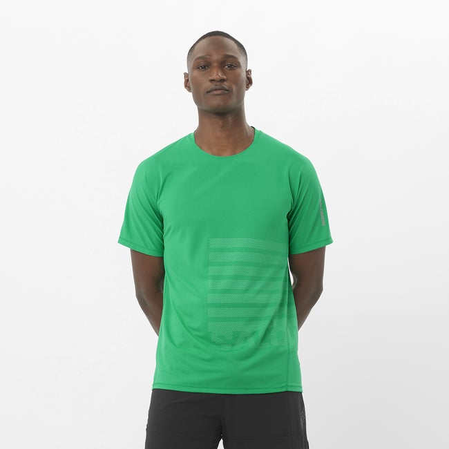 Тениска Salomon Aero Graphic T-Shirt Зелено | LC2694700, 0
