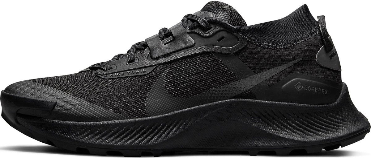 Кецове и обувки Nike Pegasus Trail 3 GTX W Черно | dc8794-001, 0